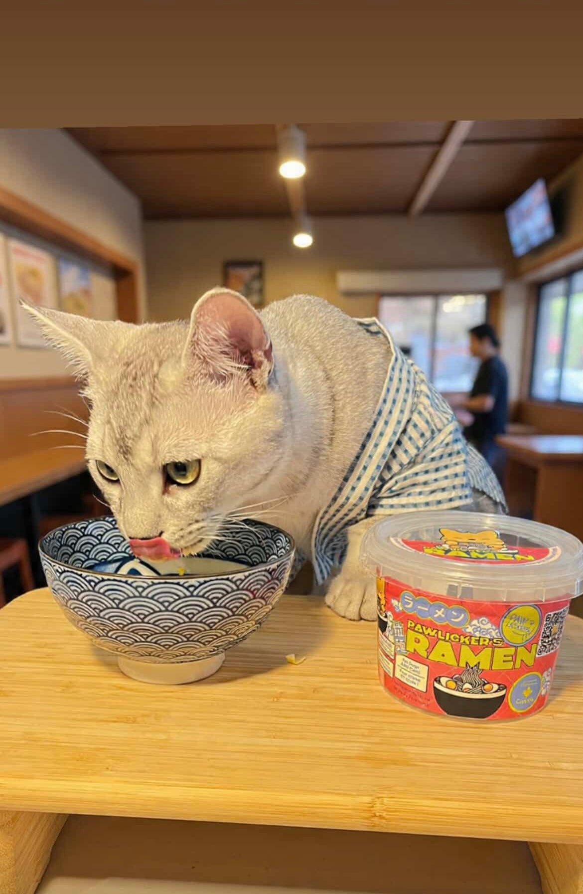 Instant ramen noodles specially made for dogs and cats
