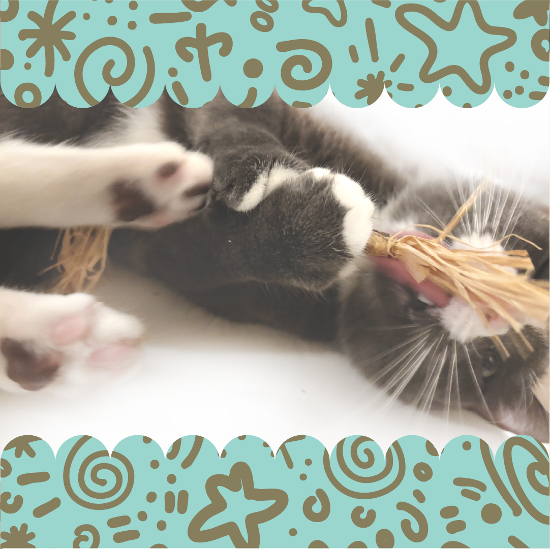 Silvervine stick cat toy wrapped in natural sisal rope