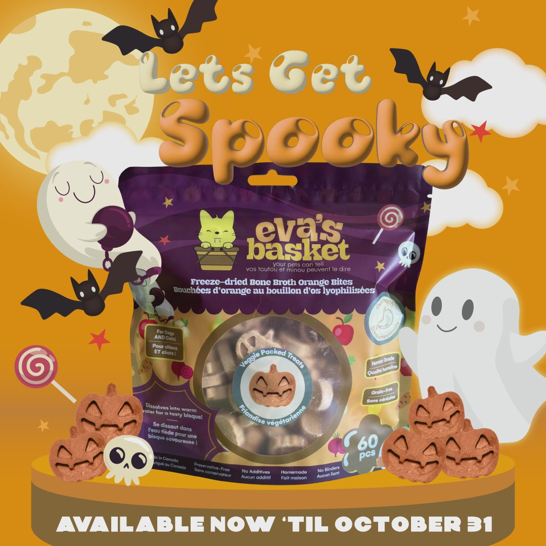 Halloween orange freeze-dried bone broth treats for dogs and cats by Eva's Basket